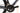 Lapierre Xelius 2024 - SRAM Rival AXS 2x12sp - Lapierre