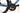 Orbea ORCA M20iTEAM 2024 - Shimano Ultegra Di2 2x12sp - OQUO Road Performance RP35 TEAM Carbon