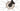 Giant TCR Advanced Pro 1 2024 - Shimano 105 Di2 2x12sp - Giant SLR 2