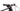 BH Lynx Race SLS 8.0 XT Di2 2025 - Shimano XT Di2 - BH EC30SL