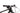 BH Lynx Race SLS 8.0 XT Di2 2025 - Shimano XT Di2 - BH EC30SL