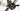 Cannondale Topstone Carbon 2 2023 - Shimano GRX - Aluminium