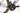 Cannondale Topstone Carbon 2 2023 - Shimano GRX - Aluminium