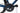 Basso Venta 2021 - Shimano Ultegra - Roval C38