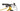 Berria Mako 7 2024 - SRAM GX AXS 1x12sp - Mavic Crossride 1