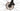Cannondale Topstone Carbon 3 2023 - Shimano GRX - Aluminium