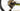 Scott Spark RC 900 World Cup 2018 - Sram XX1 - Tune Black Burner