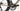 Cannondale SystemSix Carbon 2019 - Shimano Ultegra Di2 2x11sp - HollowGram Knot SL