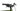Cube Nuride Hybrid Pro 2023 - Shimano Deore - Cube