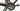 Ridley Kalazy Claris MDB 2025 - Shimano Claris - Mach1
