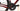 Trek Checkpoint SL 7 2021 - Shimano Ultegra - DT Swiss