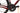 Trek Checkpoint SL 7 2021 - Shimano Ultegra - DT Swiss