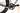 Orbea Terra M21eTEAM 2025 - SRAM Force AXS 2x12sp - Oquo RP45 Team