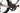 BH RS1 2023 - Shimano Ultegra Di2 2x12sp - EVO 50