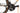 Focus Atlas 8.7 - Shimano GRX - DT Swiss G1800