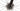 Trek Madone SLR 9 2023 - SRAM Red AXS 2x12sp - Bontrager Aeolus Pro 5