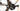 Focus Atlas 8.7 - Shimano GRX - DT Swiss G1800