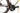 Focus Atlas 8.7 - Shimano GRX - DT Swiss G1800