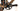 Ridley Astr RS 2025 - SRAM Force AXS 2x12sp - DT Swiss GRC1600