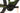 Cube Nuride Hybrid Pro 2023 - Shimano Deore - Cube