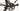 Look 586 Origin Pro Team 2012 - Shimano Dura-Ace - DT Swiss RC38C