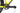Scott Scale 930 2020 - Shimano XT - Syncros X25
