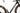 Canyon Inflite CF SL 2024 - Shimano GRX Di2 - Fulcrum Sharq GR