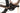 Orbea Denna M20i 2025 - Shimano XT Di2 - Oquo RC25 Team
