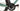 Scott Addict RC 20 2020 - SRAM Force AXS 2x12sp - Syncros Capital 1.0