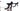 BH Prisma Concept 2016 - Shimano Ultegra - Campagnolo Scirocco