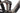Centurion Lhasa R2600I EQ 2023 - Shimano XT - Alexrims