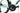 Bianchi Infinito 2024 - Shimano 105 Di2 2x12sp - Velomann