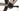 BMC Fourstroke 01 TWO 2019 - SRAM XX1 - DT Swiss