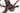 Specialized S-Works SL8 2025 - SRAM Red AXS - Roval Rapide CLX