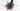 Cervelo R5 2021 - SRAM Red AXS 2x12sp - DT Swiss ARC 1100