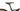 Orbea Oiz M10 2021 - Shimano XTR - DT Swiss XR 1650