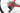 Specialized Epic Hardtail Comp Carbon 2019 - SRAM NX 1x12sp - Roval