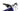 BH Xtep Lynx Pro 0.7 2025 - Shimano XT - RaceFace AR30
