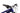 BH Xtep Lynx Pro 0.7 2025 - Shimano XT - RaceFace AR30