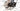 Cube Attention SLX 2025 - SRAM SX 1x12sp - Cube