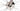 Cannondale SuperSix EVO 4 2023 - Shimano 105 2x12sp - DT Swiss R460