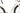 Orbea Denna M20i 2025 - Shimano XT Di2 - Oquo RC25 Team