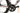 BH G7 Disc 5.5 2020 - Shimano Ultegra RX Di2 2x11sp - EVO E50 Disc