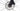Focus Atlas 6.7 2024 - Shimano GRX - WTB ST i23 TCS