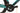 Bianchi e-Oltre 2024 - Shimano Ultegra Di2 2x12sp - Velomann Plutonium