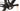 Cannondale Topstone Carbon 2 Lefty 2024 - Shimano GRX 820 1x12sp - WTB KOM Light i23 TCS
