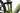 Corratec E-Power RS 160 CX7 2024 - SRAM SX - Radiale X30