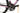 Enve MOG 2023 - Shimano GRX - Oquo RC25 Pro