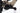 Focus Sam 2 6.9 2024 - Shimano XT - RaceFace AR30