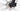 Cannondale Adventura Neo 2 EQ 2024 - Shimano Alivio - Aluminium